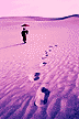 go_on.gif (3445 bytes)