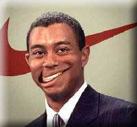 All Right TIGER